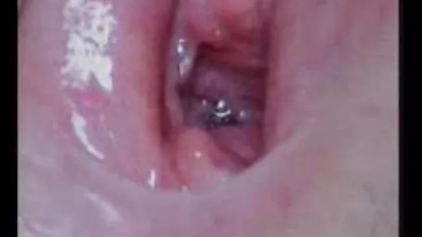 Секс порно відео веб камера на природі з білявкою з гарними титками.