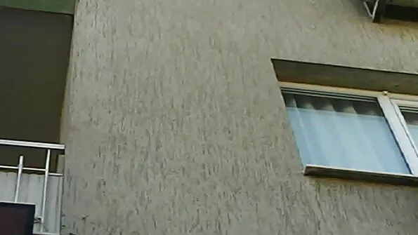 Гаряча блондинка ебется відразу з трьома самцями. порно відео зоофілія