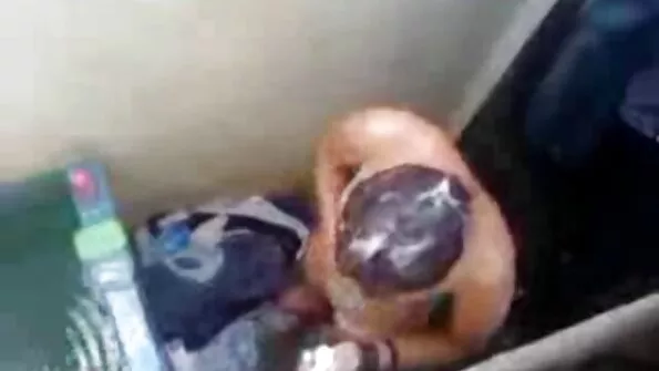 Солодкі секс тварин відео сучки обмінялися вагінальними пестощами захоплено.